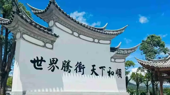 瑞丽6天5晚包车游车队:应用实践与专业路径