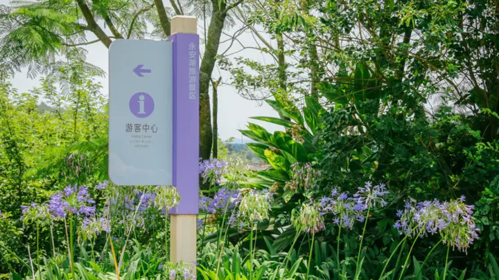 夏日限定浪漫!来永安湖走“花路”啦