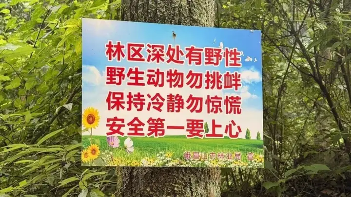 不建议!不跟风!不擅闯!