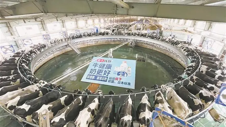 龙江奶业全产业链升级路径图曝光