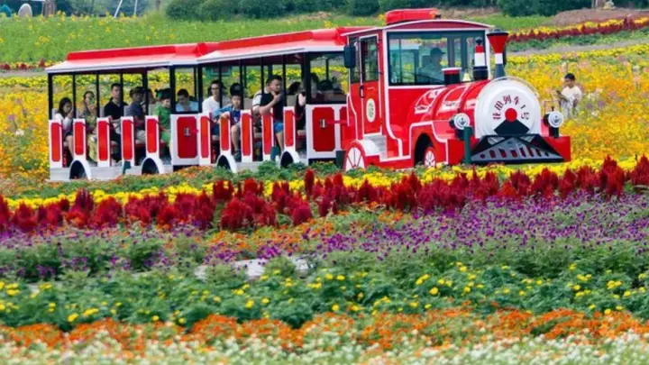 武义花田美地荣膺浙江4A级旅游景区称号