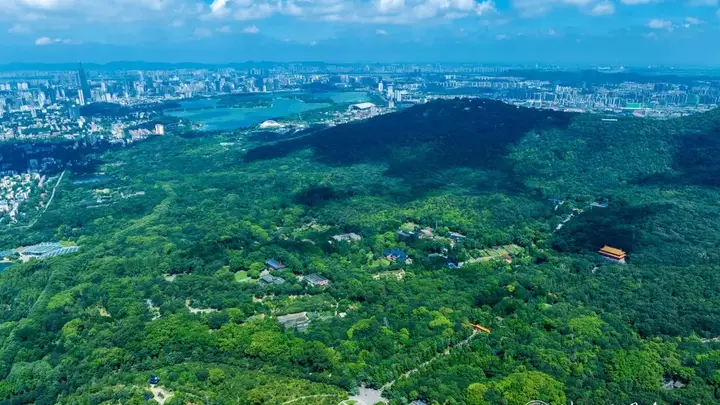 南京钟山风景区面向全国2026年高校新生免景点门票