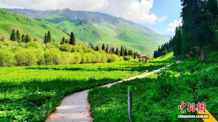 新疆巩乃斯国家森林公园迎最佳赏花季